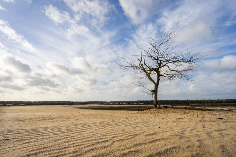 Astrid Versantvoort-2
